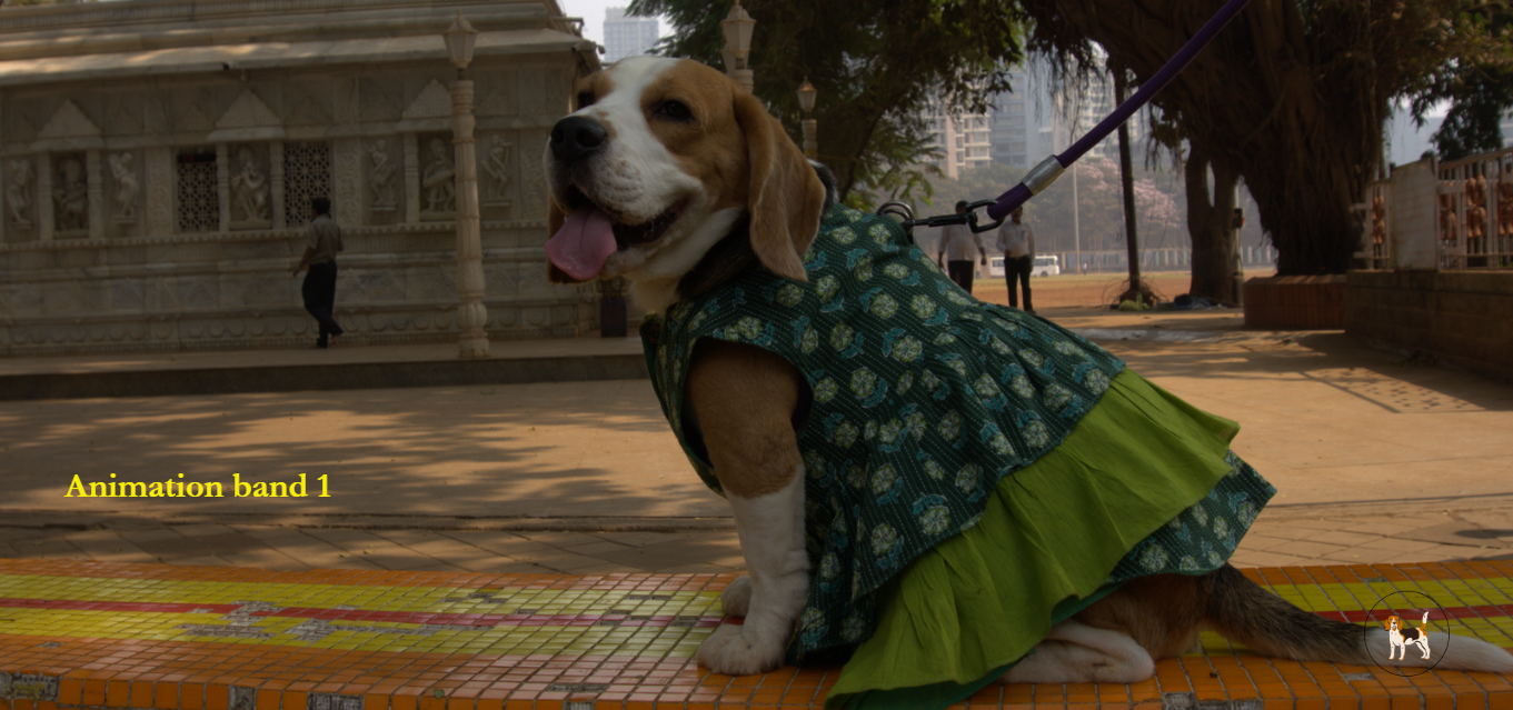 Bamboo Fiber Pet Bed